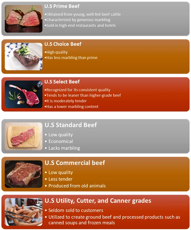 USDA beef grading chart showing where Utility grade falls among beef quality levels