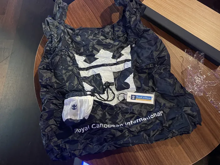Foldable travel tote bag awarded as the '60 Seconds or Less' winner's prize